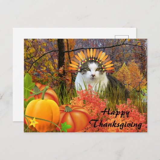 Cat Thanksgiving Collage Art Briefkaart (Voorkant / Achterkant)
