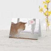 Cat Thinking of You Kaart (Gele Bloem)