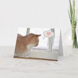 Cat Thinking of You Kaart