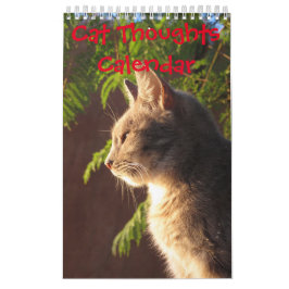 Cat Thoughts Kalender