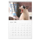 Cat Thoughts Kalender (Jan 2026)