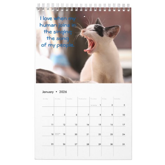 Cat Thoughts Kalender (Jan 2026)