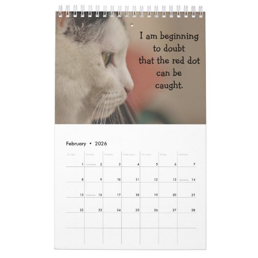 Cat Thoughts Kalender (Feb 2026)