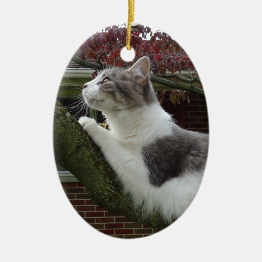Cat Thoughts Keramisch Ornament (Voorkant)