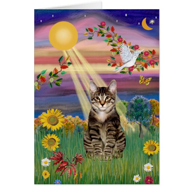 Cat (tijger) - Autumn Sun (Voorkant)