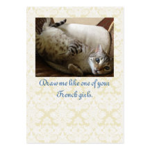 Cat Titanic Quote Brocade Gift Label
