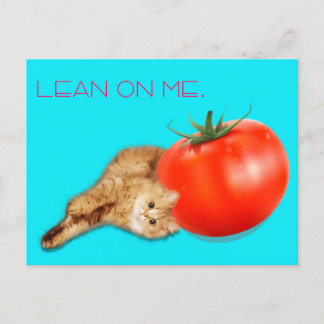 Cat & Tomato Postcard /　猫＆トマト　ポストカード Briefkaart