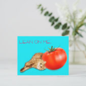 Cat & Tomato Postcard / 猫&トマト ポストカード Briefkaart (Staand voorkant)