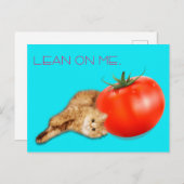 Cat & Tomato Postcard / 猫&トマト ポストカード Briefkaart (Voorkant / Achterkant)