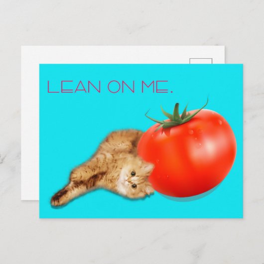 Cat & Tomato Postcard /　猫＆トマト　ポストカード Briefkaart (Voorkant / Achterkant)