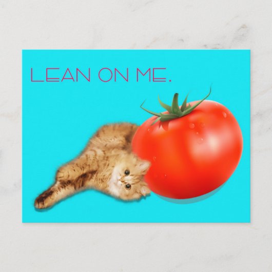 Cat & Tomato Postcard / 猫&トマト ポストカード Briefkaart (Voorkant)
