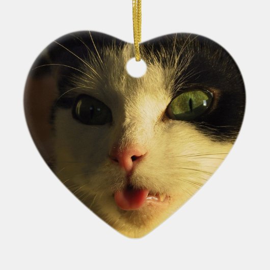 Cat Tongue Keramisch Ornament (Voorkant)