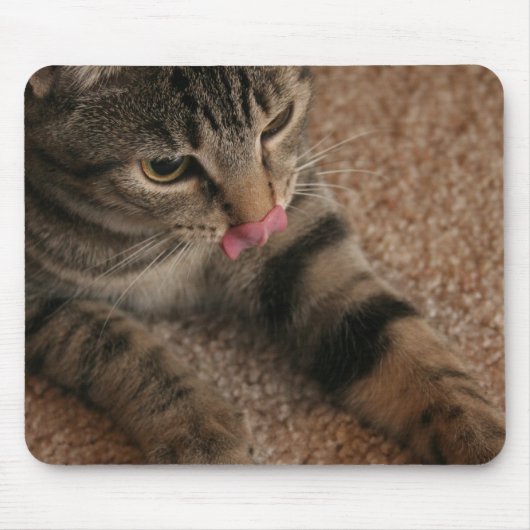 Cat Tongue Muismat (Voorkant)