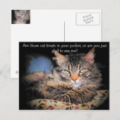 Cat Tres? of ... Briefkaart (Voorkant / Achterkant)