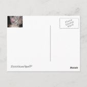 Cat Tres? of ... Briefkaart (Achterkant)