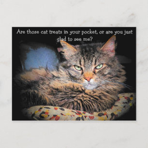 Cat Tres? of ... Briefkaart