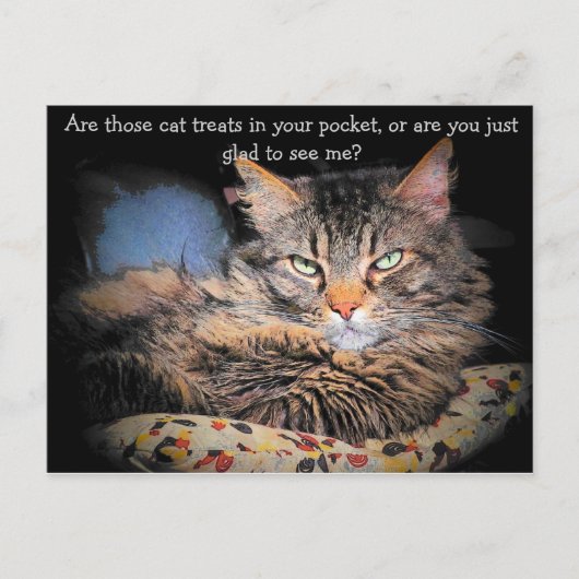 Cat Tres? of ... Briefkaart (Voorkant)