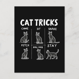 Cat Tricks Spint feilloos hilarisch katachtige ple Feestdagenkaart