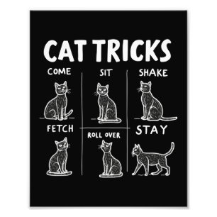 Cat Tricks Spint feilloos hilarisch katachtige ple Foto Afdruk