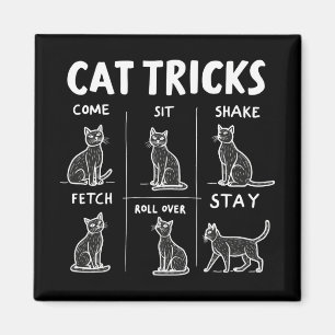 Cat Tricks Spint feilloos hilarisch katachtige ple Magneet