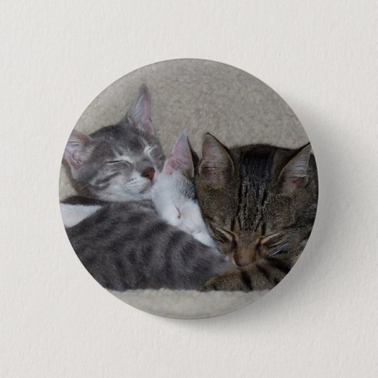Cat Trio Button (Voorkant)