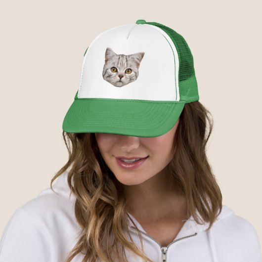 Cat Trucker Hat Pet (In situ)