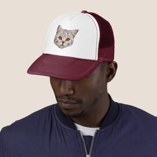 Cat Trucker Hat Pet (In situ)