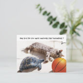 CAT, TURTLE EN BASKETBALL BRIEFKAART (Staand voorkant)