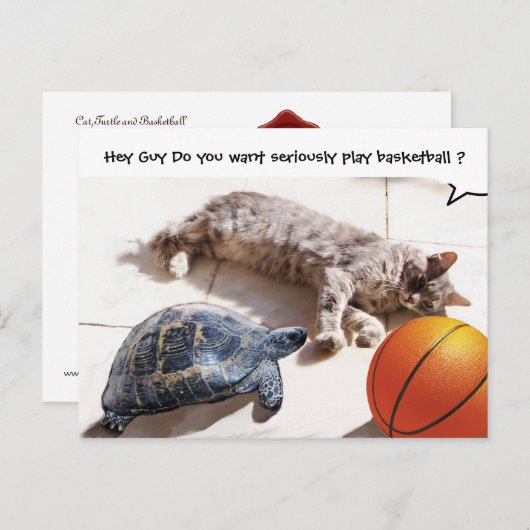 CAT, TURTLE EN BASKETBALL BRIEFKAART (Voorkant / Achterkant)