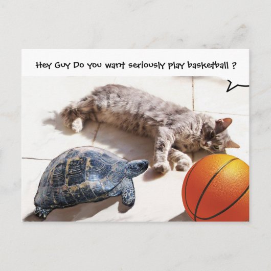 CAT, TURTLE EN BASKETBALL BRIEFKAART (Voorkant)