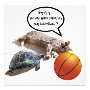 CAT, TURTLE EN BASKETBALL FOTO AFDRUK
