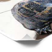 CAT, TURTLE EN BASKETBALL FOTO AFDRUK (Hoek)