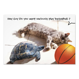 CAT, TURTLE EN BASKETBALL FOTO AFDRUK
