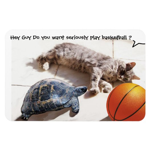 CAT, TURTLE EN BASKETBALL MAGNEET (Horizontaal)