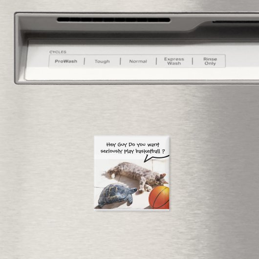 CAT, TURTLE EN BASKETBALL MAGNEET (Insitu (Vaatwasser))