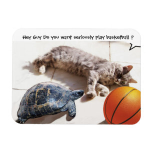 CAT, TURTLE EN BASKETBALL MAGNEET