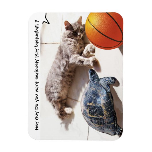 CAT, TURTLE EN BASKETBALL MAGNEET (Verticaal)
