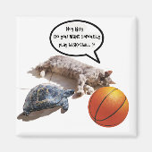 CAT, TURTLE EN BASKETBALL MAGNEET (Voorkant)
