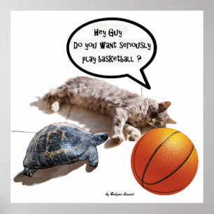 CAT, TURTLE EN BASKETBALL POSTER