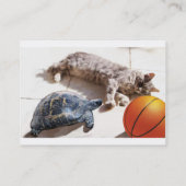 CAT, TURTLE EN BASKETBALL VISITEKAARTJE (Achterkant)