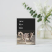 CAT, TURTLE EN BASKETBALL VISITEKAARTJE (Staand voorkant)