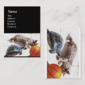 CAT, TURTLE EN BASKETBALL VISITEKAARTJE (Voorkant / Achterkant)