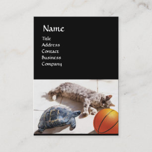 CAT, TURTLE EN BASKETBALL VISITEKAARTJE