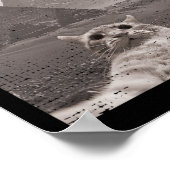 Cat Ufo Meme - Grappige kat selfie met UFO's Poster (Hoek)