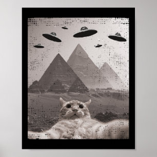 Cat Ufo Meme - Grappige kat selfie met UFO's Poster
