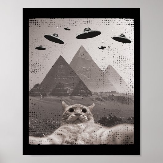 Cat Ufo Meme - Grappige kat selfie met UFO's Poster (Voorkant)