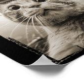 Cat UFO Ontmoetingen - Grappige UFO en Cat Sel Poster (Hoek)