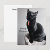 Cat Vakantiekaart Notitiekaartje (Voorkant / Achterkant)