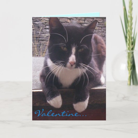 Cat Valentijnsdag kaart (Voorkant)