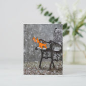 Cat vangt sneeuwvlokken op zijn tong briefkaart (Staand voorkant)